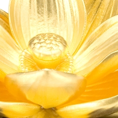  _u @̉
